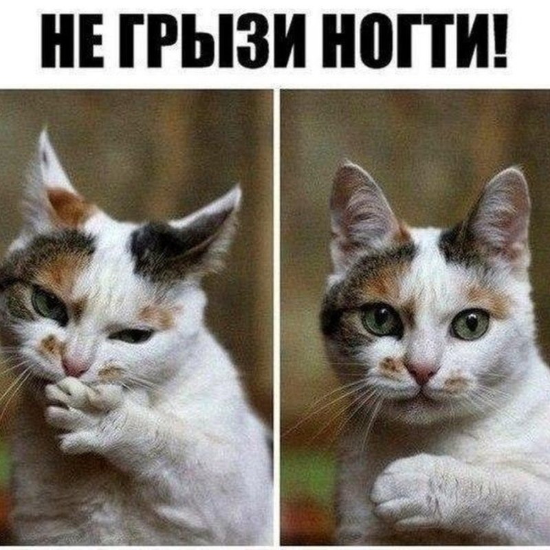 Смешные шутки про ногти