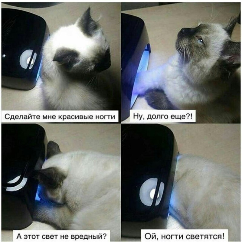 Приколы про маникюр