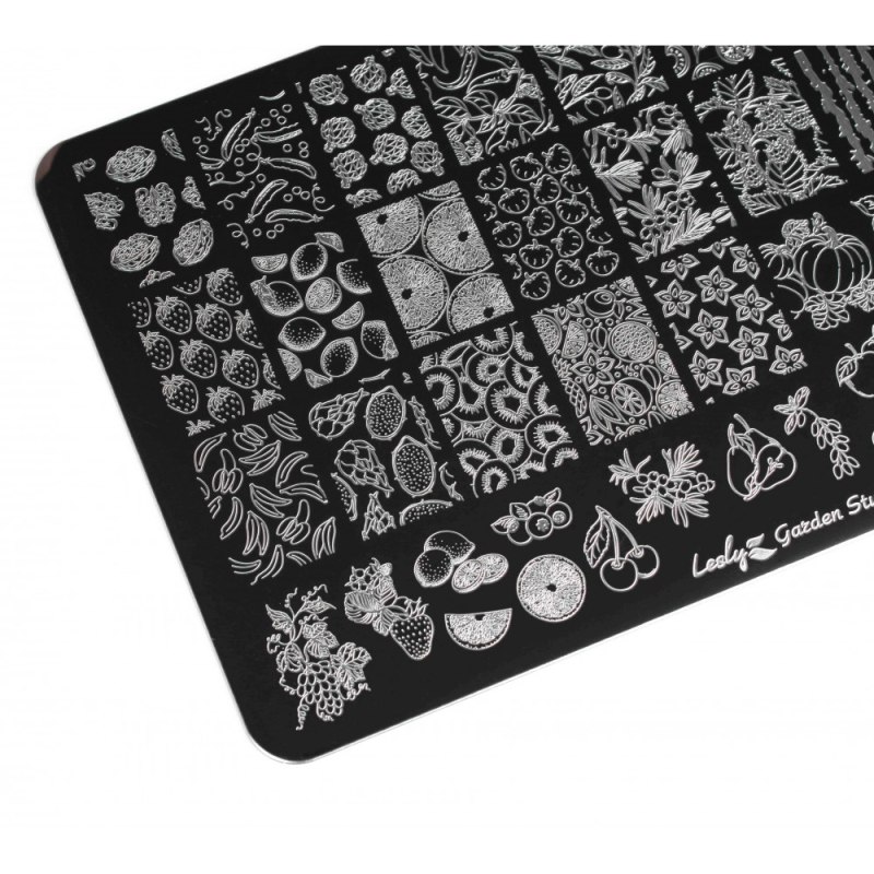 Пластины Swanky Stamping