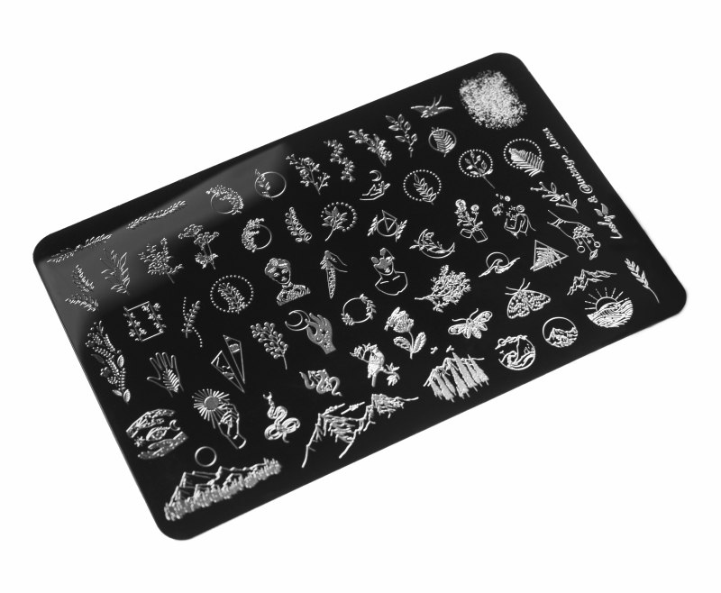 Пластина Swanky Stamping 105