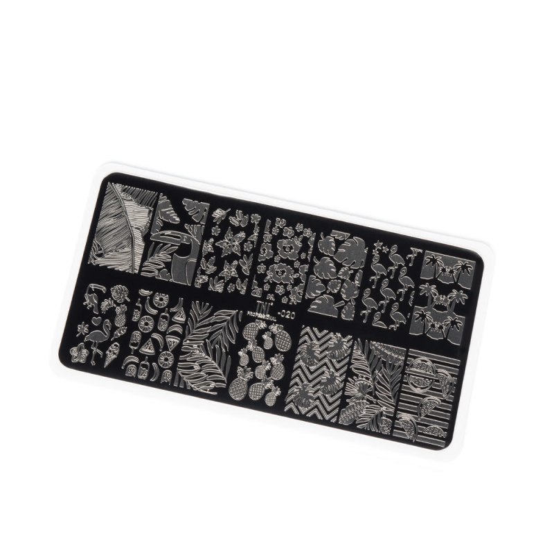 Пластина Swanky Stamping 078