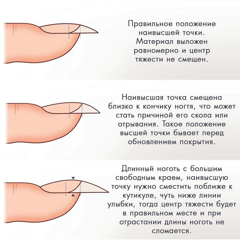 Строение ногтя Апекс