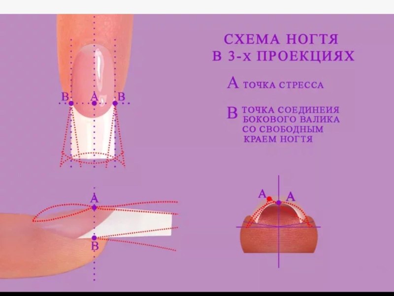 Схема опила формы наращивание ногтей