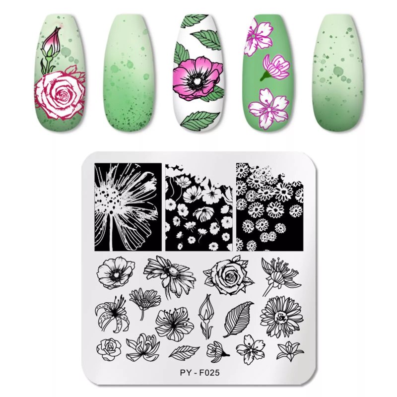 Пластина Swanky Stamping 050