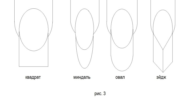 Схема ногтя для маникюра