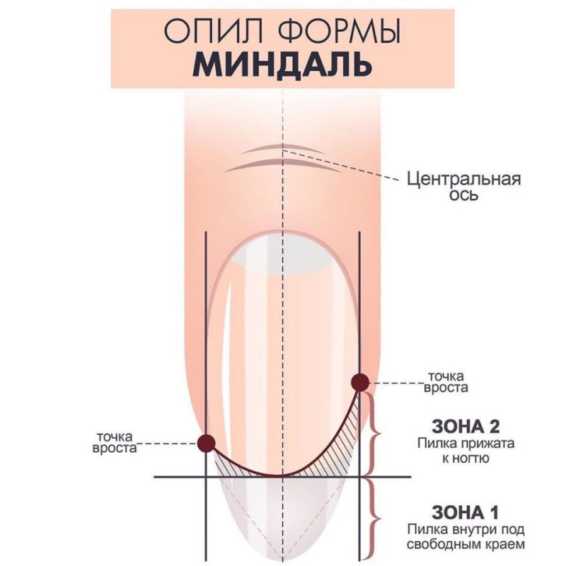 Схема опила овала ногтей