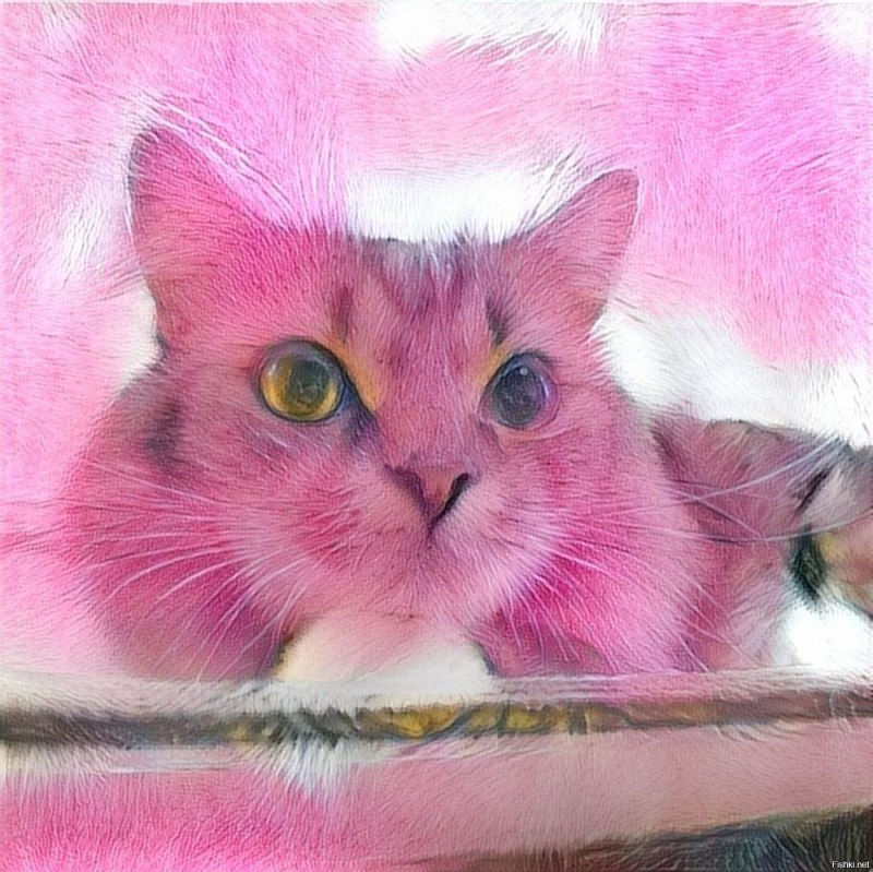 Белый котенок улыбается