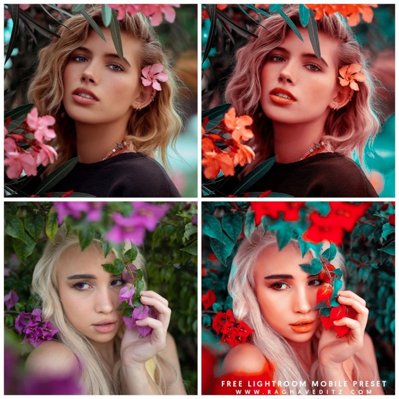 Preset для Lightroom mobile Snow dng