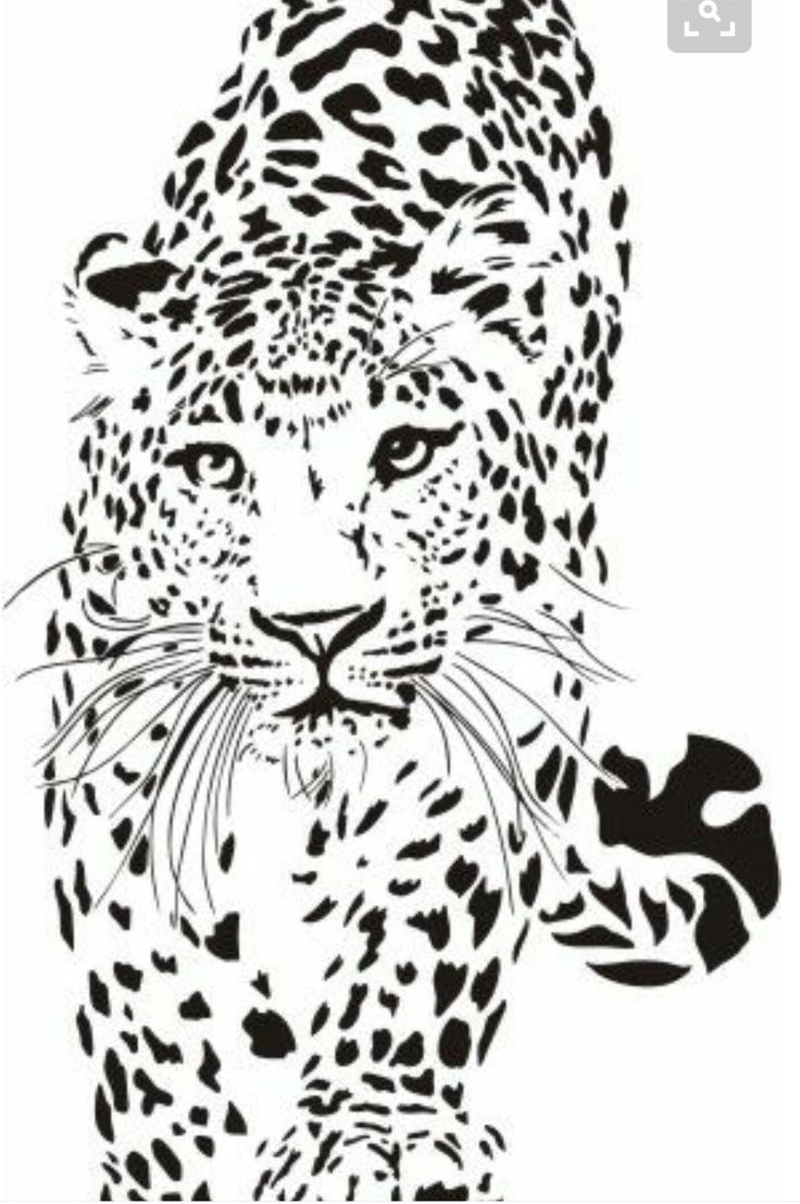 Снежный Барс Барс вектор