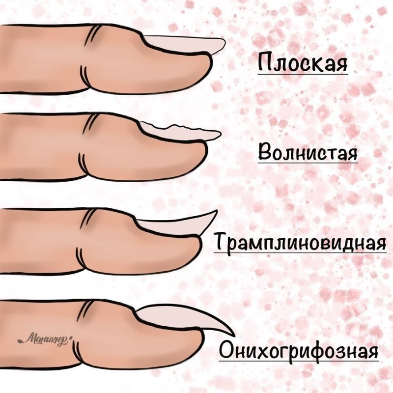 Типы ногтевой пластины