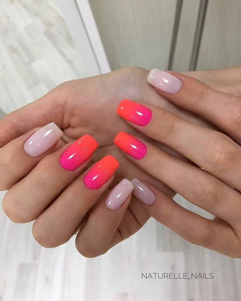 Shellac 2020-2021