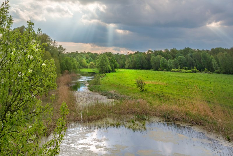 Месяц май пейзаж
