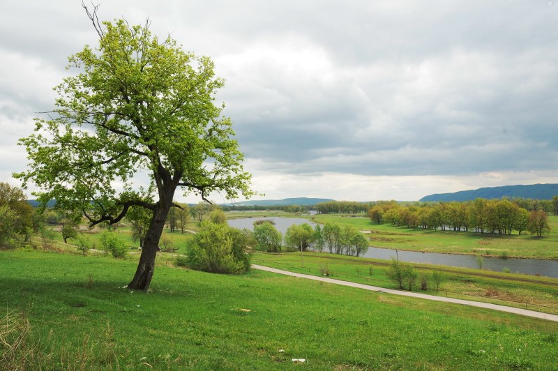 Май природа