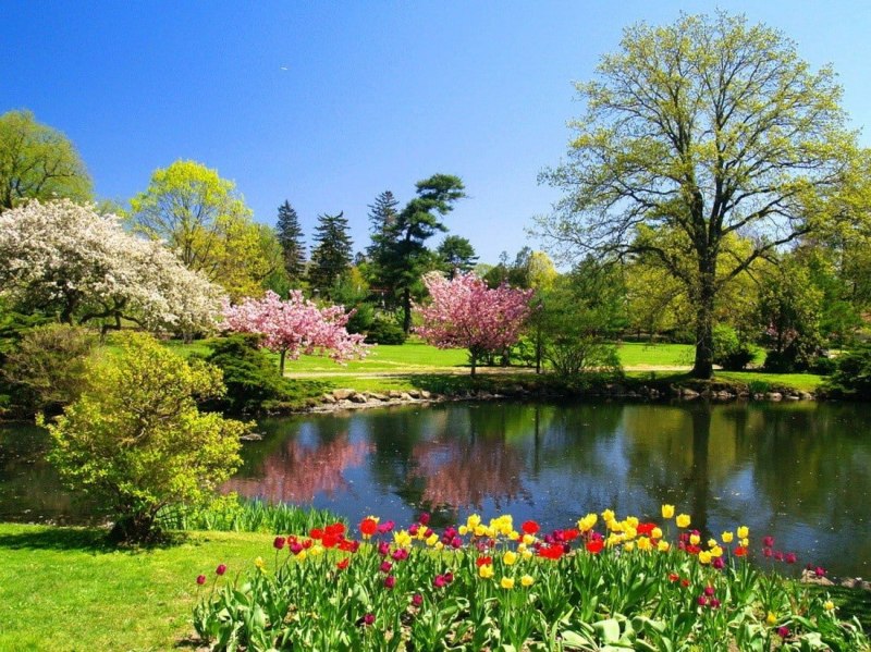 Природа Весна парк