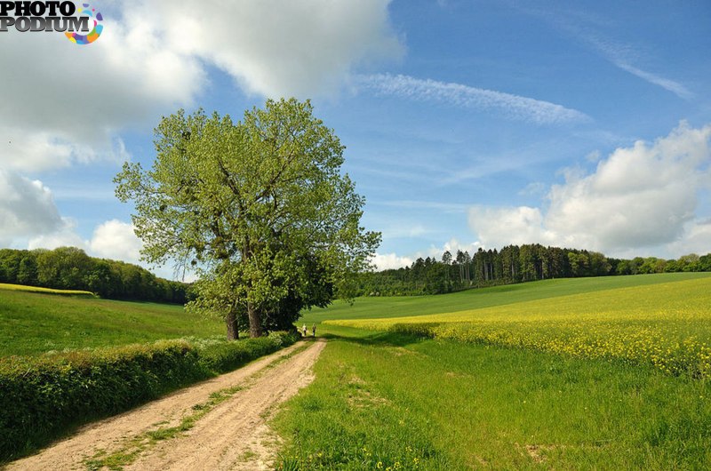 Майский пейзаж