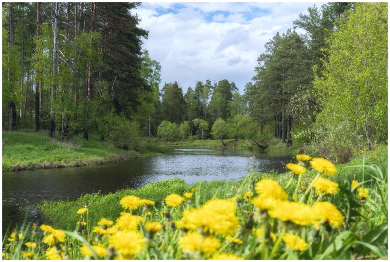 Природа Подмосковья