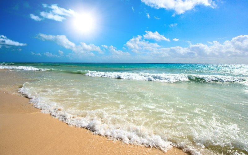 Болгария море Солнечный берег