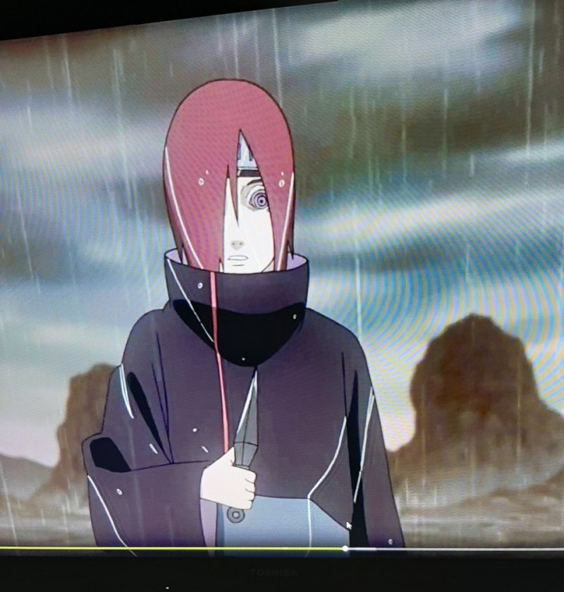 Акацуки в цвете