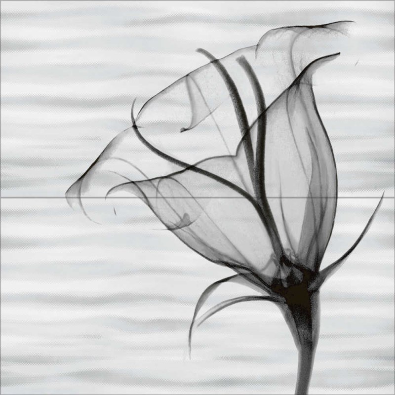 Плитка Alma Ceramica esta