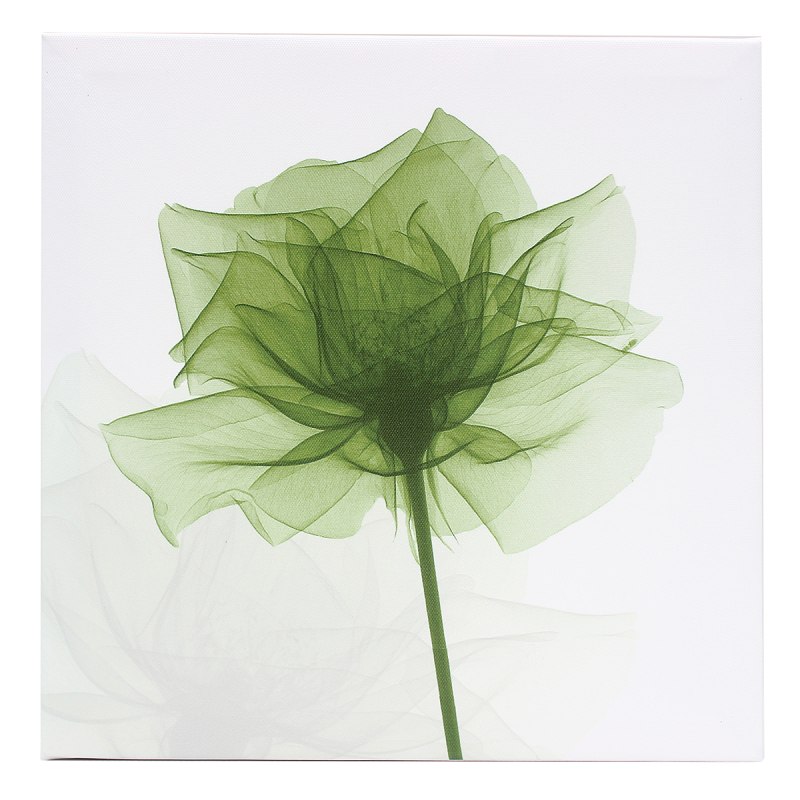 Прозрачные цветы