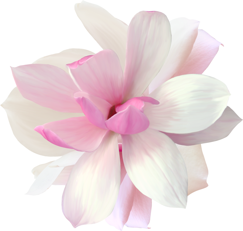 Цветы на прозрачном фоне