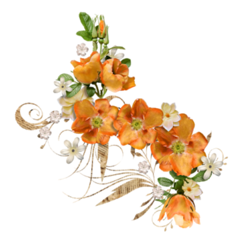 Прозрачные цветы