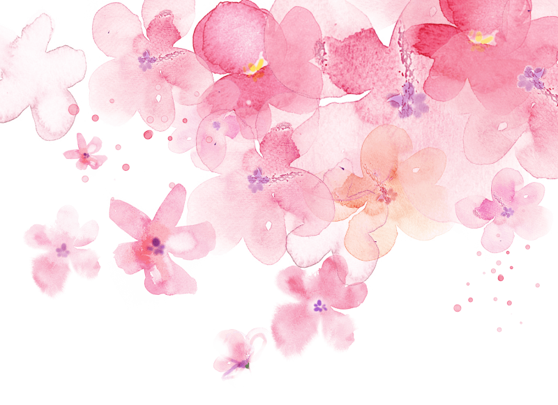 Розовые цветы на прозрачном фоне