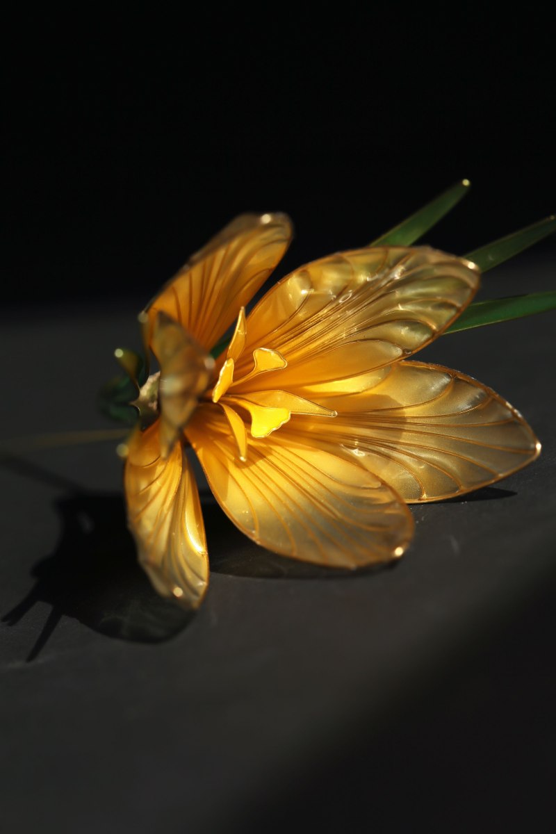 Прозрачные цветы