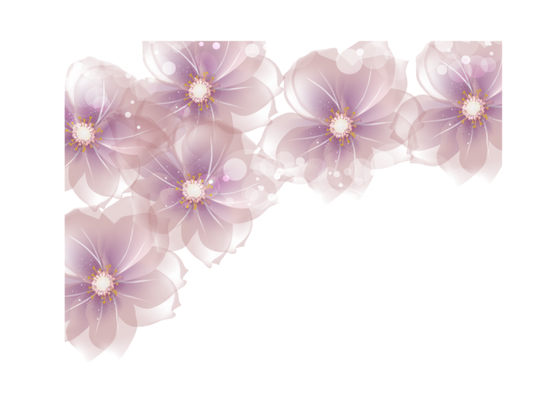 Нежные цветочки на прозрачном фоне