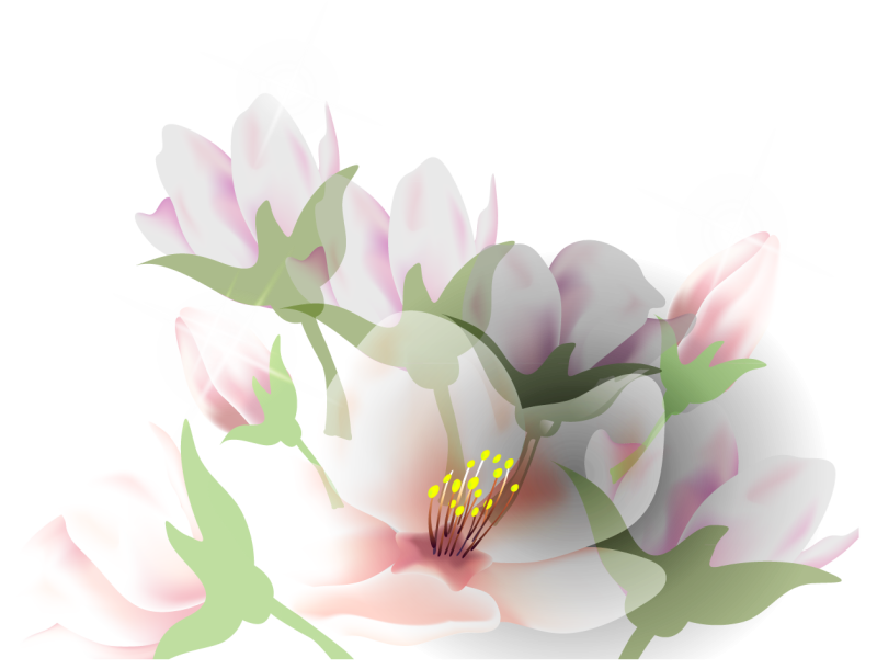 Нежные цветочки на прозрачном фоне