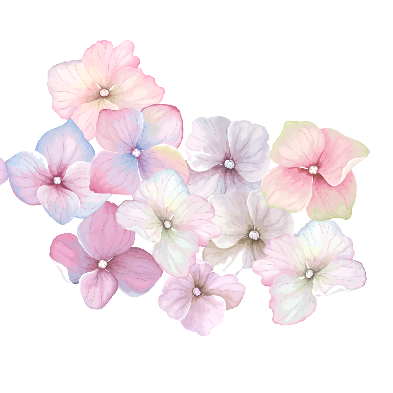 Нежные прозрачные цветы