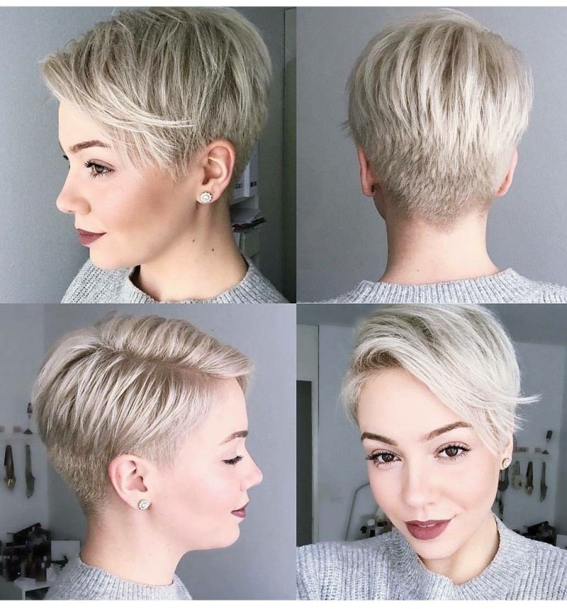 Стрижки Пикси, Гарсон, Пикси Боб