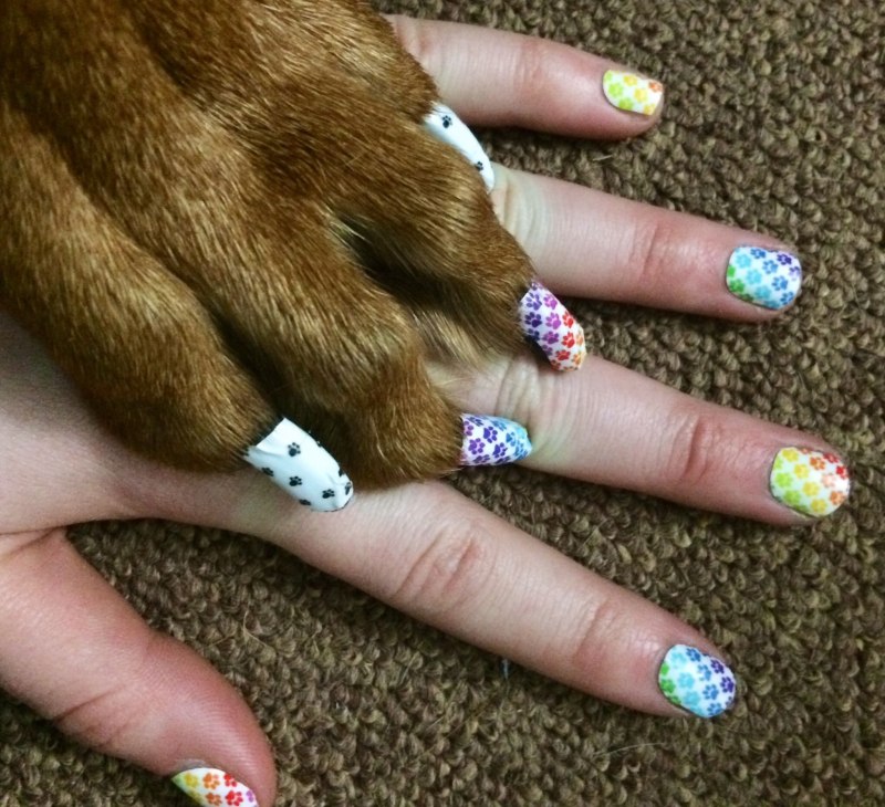 Ногти с корги
