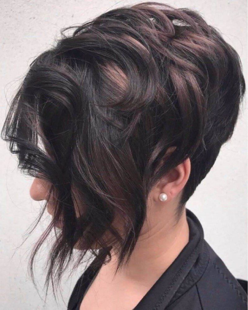 Пикси-Боб удлиненное стрижка