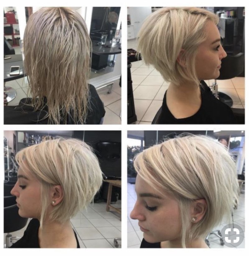 Каре Пикси Боб удлиненный