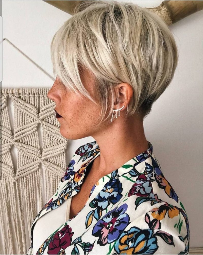 Пикси Боб стрижка