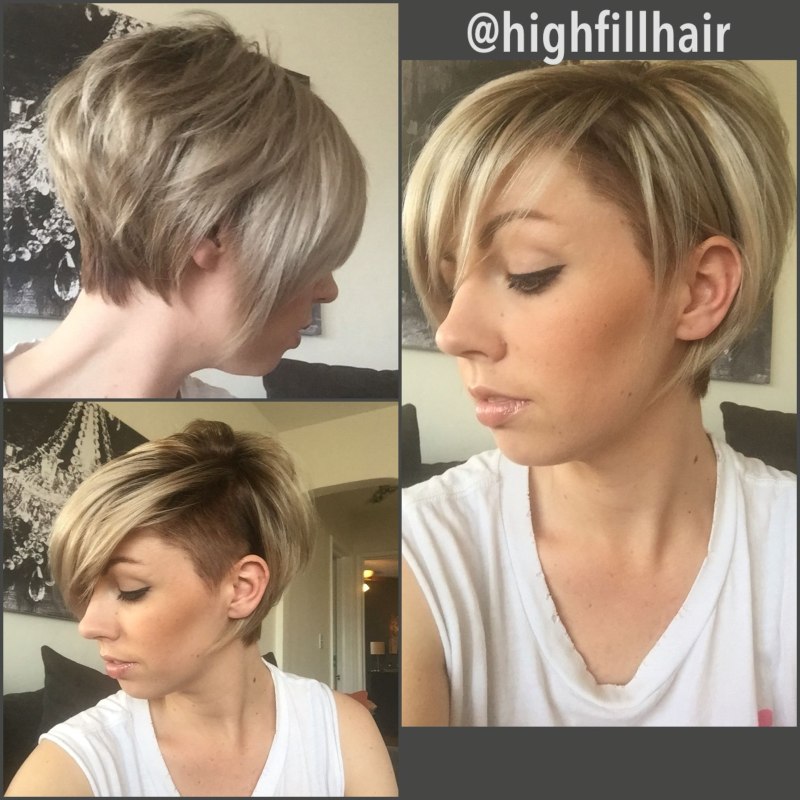 Пикси Боб на темные волосы