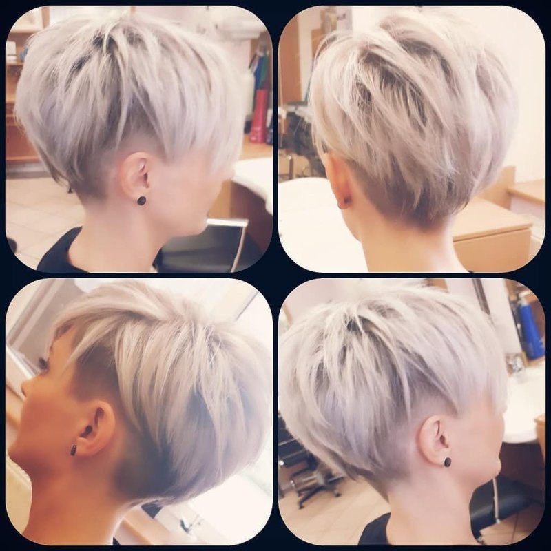 Пикси Боб с выбритым затылком