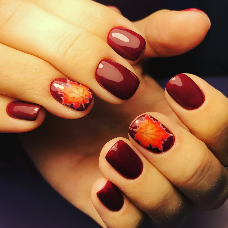 Шеллак бордо вишня 2020