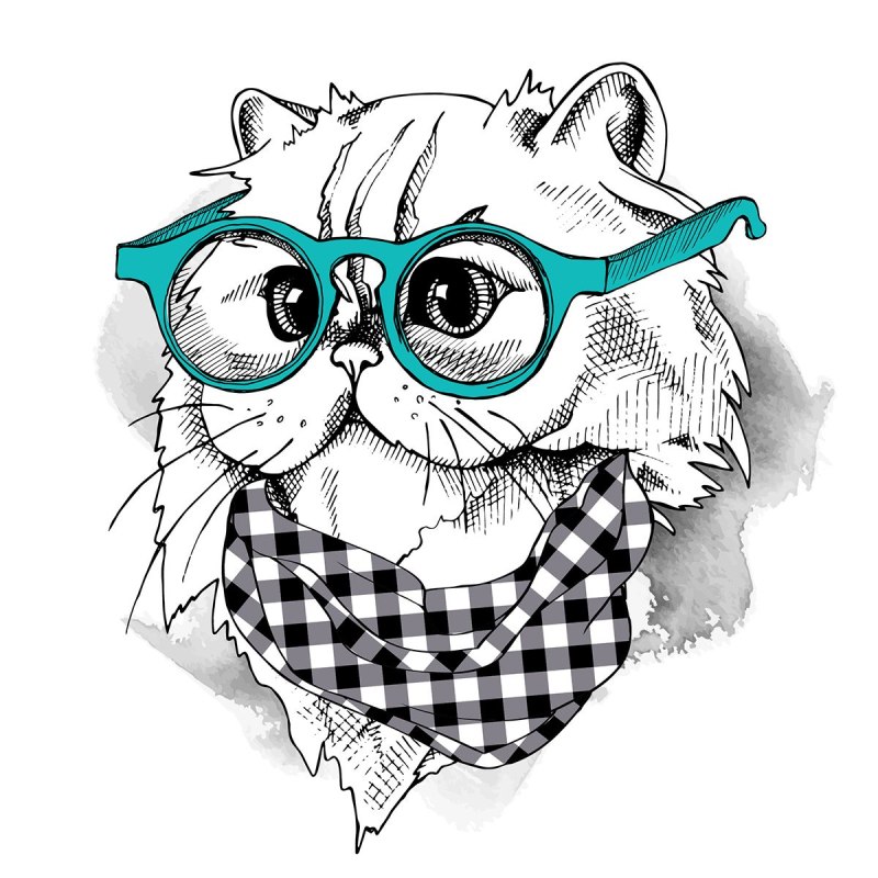 Кот в очках Графика