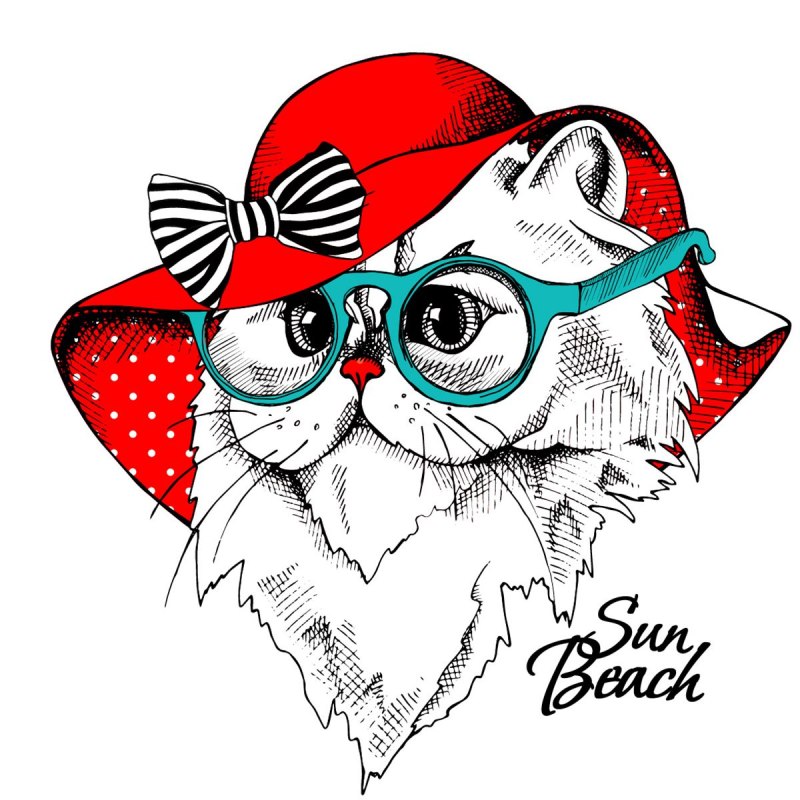 Стильный кот рисунок