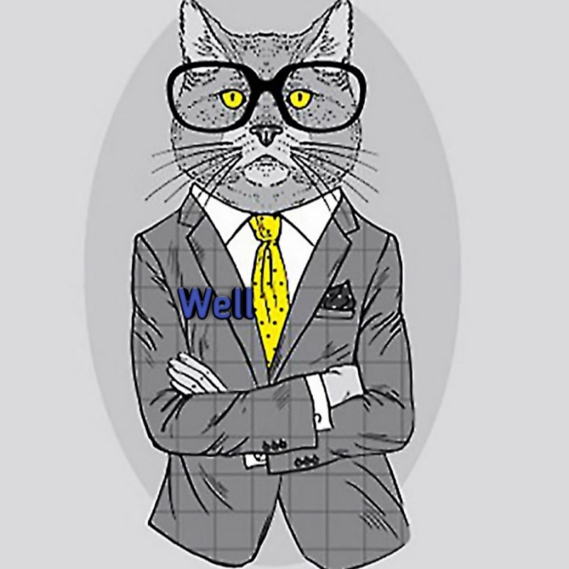 Кот в деловом костюме