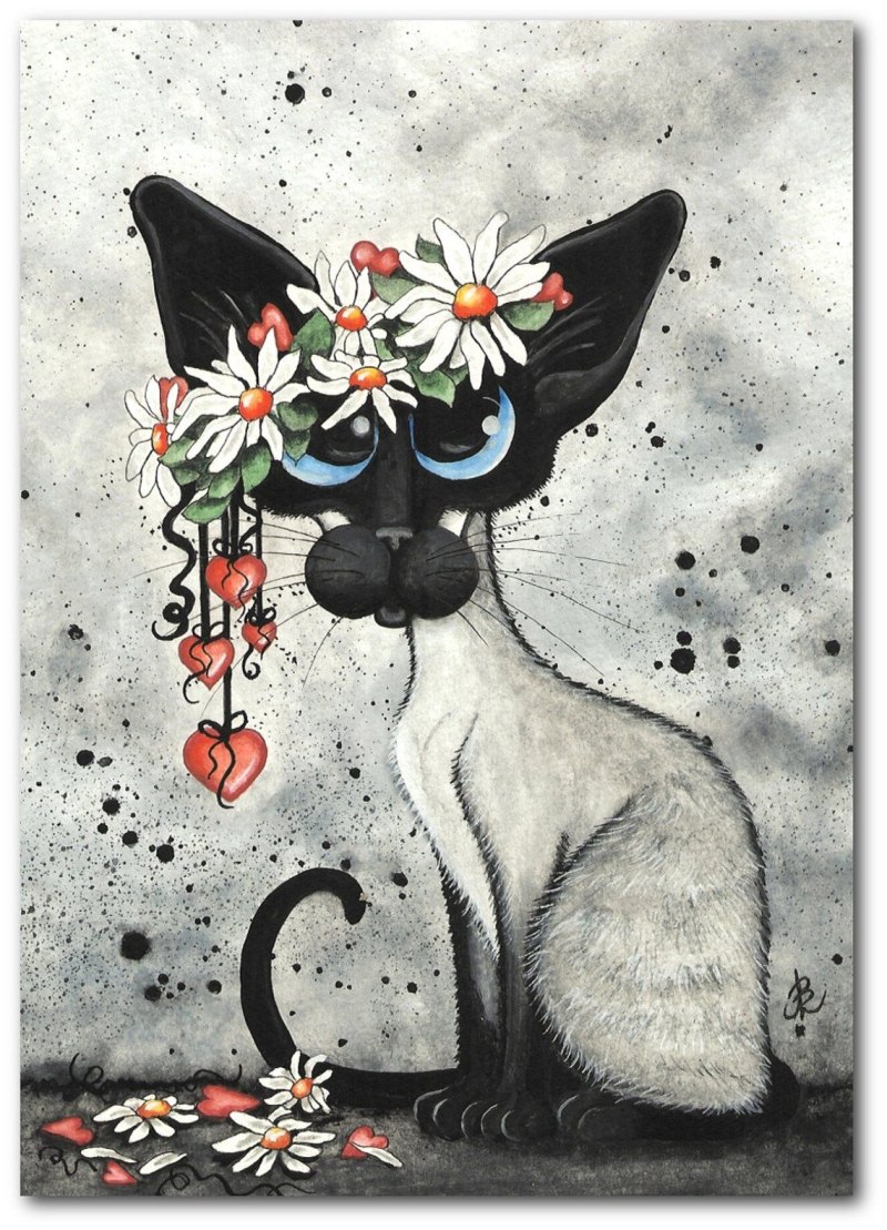 Кошки AMYLYN Bihrle..