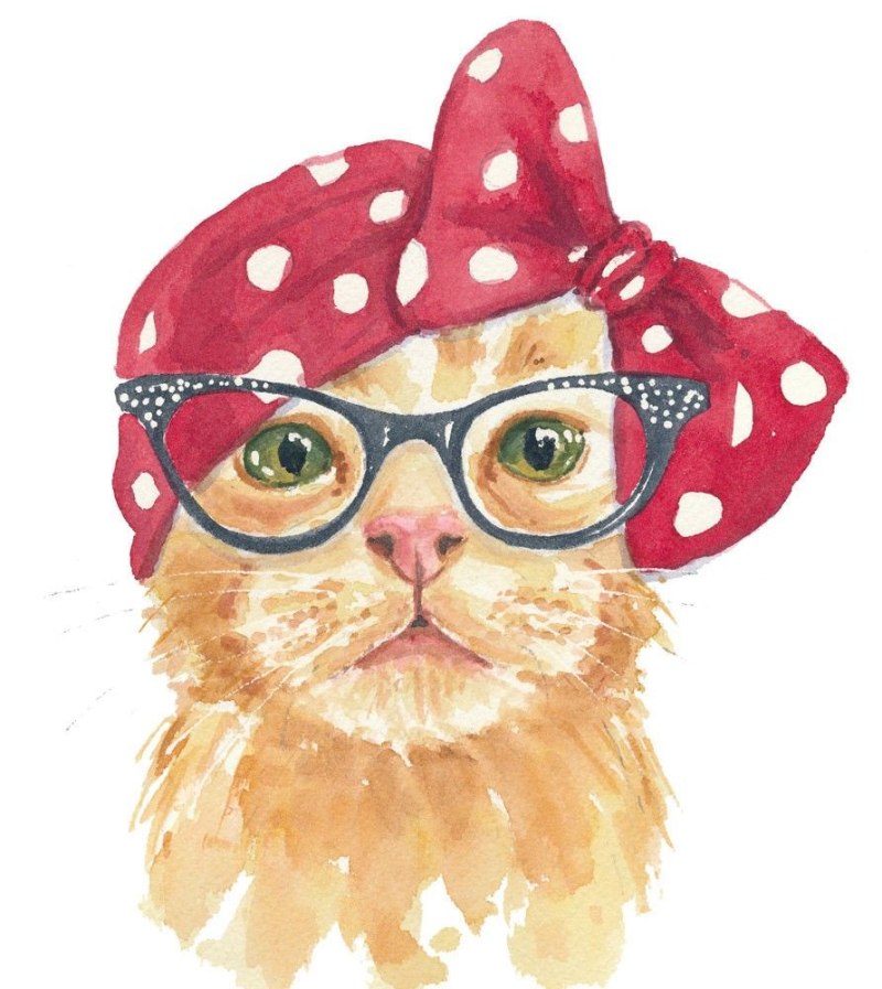 Рыжий кот в очках