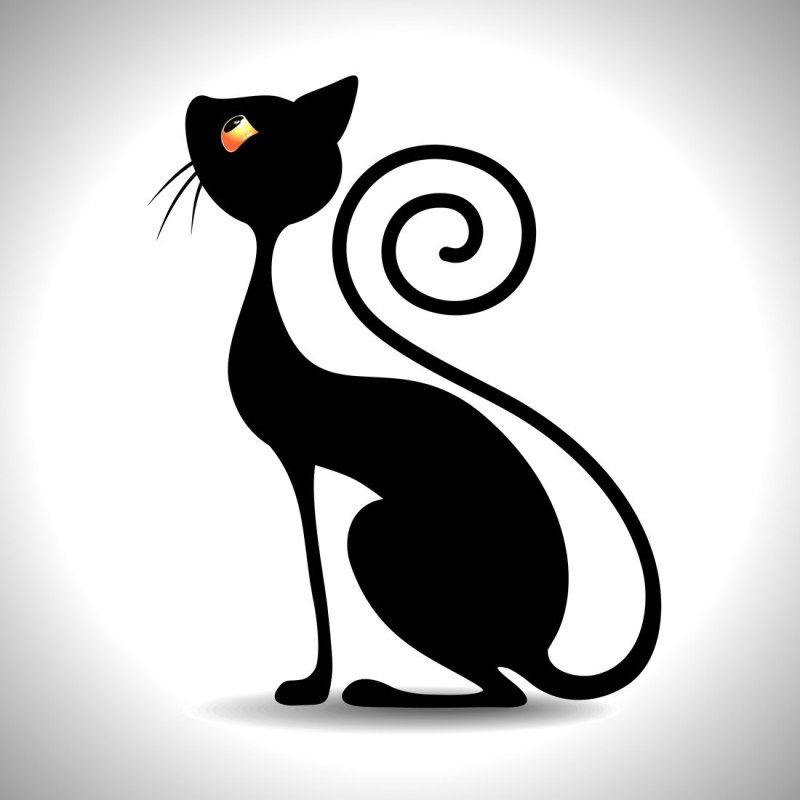 Кто потерял кота картинки