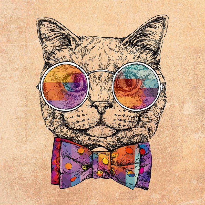 Постер кот в очках