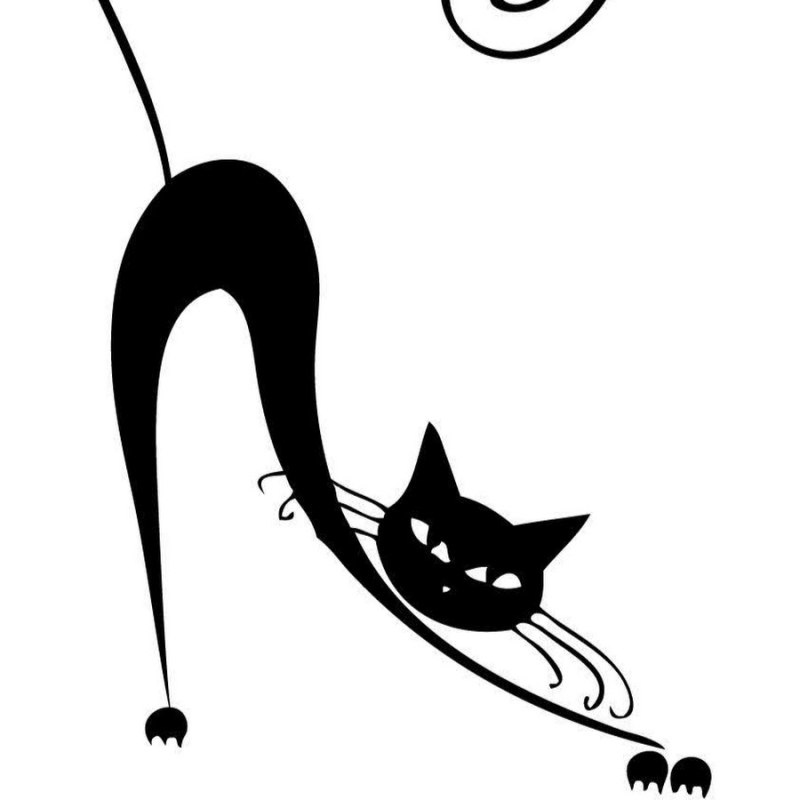 Силуэт грациозной кошки