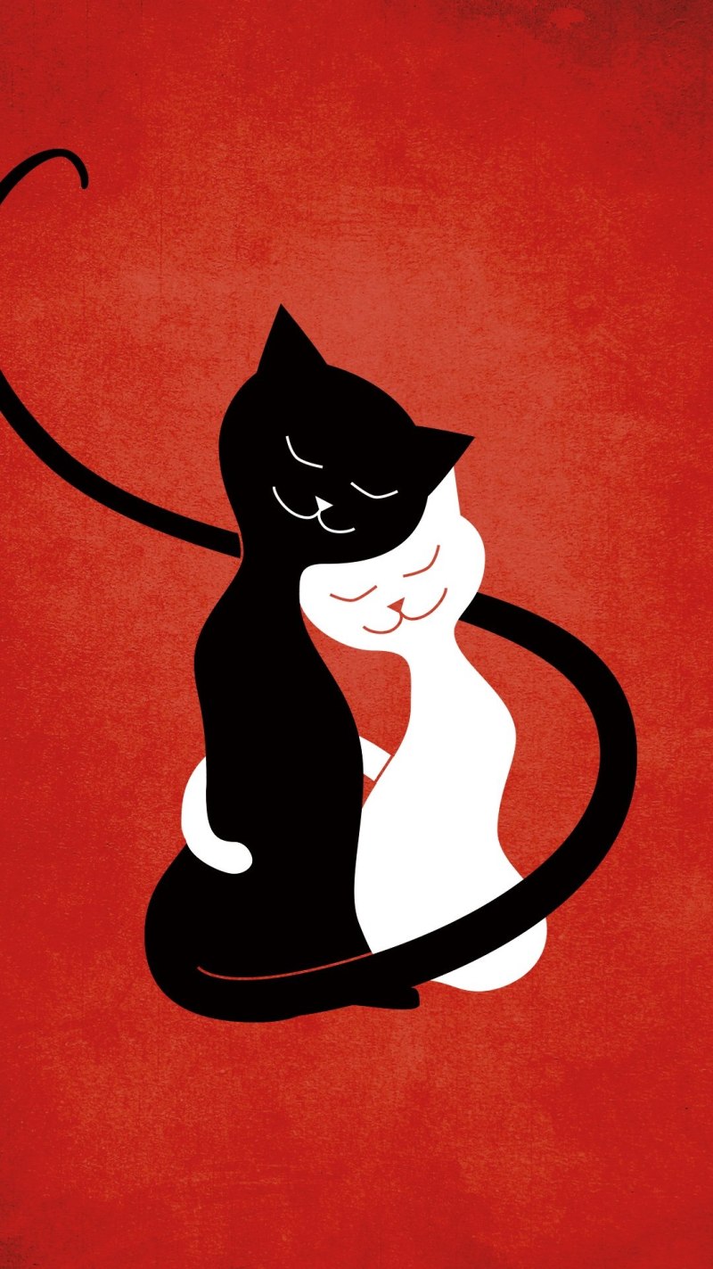 Влюбленные котики