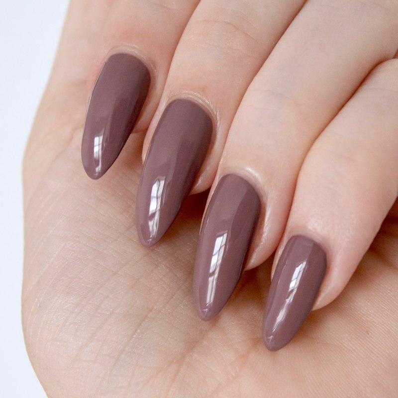 Гель лак коричневая палитра