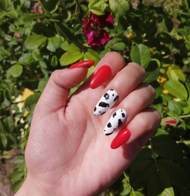 Маникюр далматинец